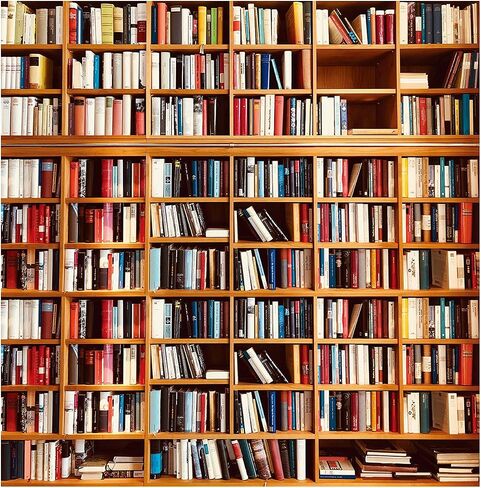 YYNXSY 7X5FT Bookshelf Backdrop Window Backdrops for Photography Backdrop Picture Vinyl backdrops for Photography Wedding Backgrounds for Photography Photo Studio Decoration Background YY-1001 in Saudi Arabia