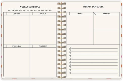 Punch Studio Molly & Rex Playful Patterns Clay Undated Planner (38218) in Saudi Arabia
