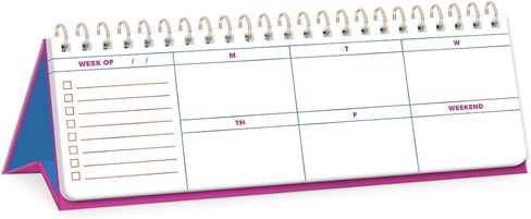 Punch Studio Molly & Rex Playful Patterns Clay Undated Planner (38218) in Saudi Arabia