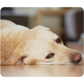 ألعاب Mouse Pad Yellow Labrador Retriever تنتظر في المنزل وسادة الماوس المطاطية غير المنزلق لأجهزة الكمبيوتر ، والكمبيوتر المحمول ، والمكتب ، ومستطيل المنزل ، موسيباد 9.5 بوصة × 7.9 بوصة