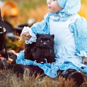 The Queen's Treasures 18 Ing Doll Pets ، House Little Little Mount رسميًا على قطة Kitty Prairie Black ، متوافقة مع دمى الفتاة الأمريكية