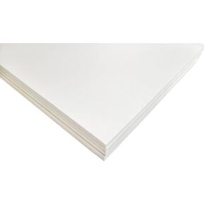 Union Strong Foam Board 24 × 36 3/16 "5 عبوات: الاستخدام المهني العالي الكثافة غير اللامع ، مناسب للعروض التقديمية ، اللافتات ، الفنون والحرف ، تأطير ، عرض (أبيض ، 24 × 36 × 3/16")