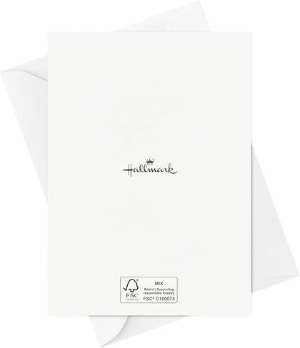 Hallmark Thank You Notes ، Food Puns (36 بطاقة فارغة مع الأظرف) دونات ، لاتيه ، وجبة غداء in Saudi Arabia