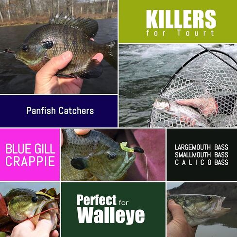 Tube Baits Tube Jigs Heads Swimbaits Kit, Pre-Rigged Tubes Lure Soft Plastic Fishing Grub Worm, Tube Bait Hooks Crappie Jigs Crappie Lures Tackle for Bass Trout Freshwater Saltwater Fishing in Saudi Arabia
