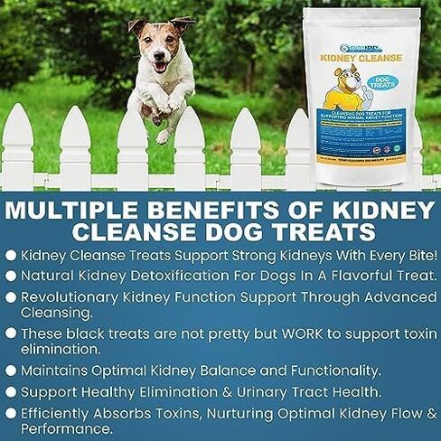 Kidney Restore Bacon Dog Treats 16oz for Petite Dogs. Low Protein Dog Treats for Kidney Support for Small Dogs. Renal Treats for Any Kidney Dog Diet. in Saudi Arabia