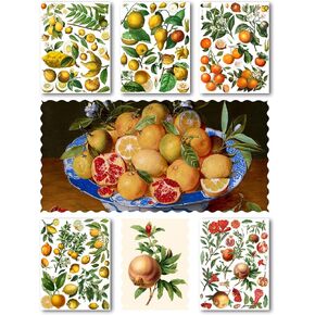حزمة ورق decoupage (15 ورقة 8 "x11") برتقالي ليمون الحمضيات الرمان الثمار العتيقة الكتب البخارية الرسم التوضيحي Hanataba خمر على تصميم الحرف الحرف والسردة.