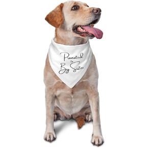 تمت ترقيته إلى Big Sister Dog Bandana ، الأخت الكبيرة التي تم ترقيتها عن إعلان الطفل ، سأصبح Dog Bandana (White)