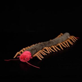 صنع Zhongxin Centipede Plush - LifeLike 24 'Centipede محشو بالحيوان ، أفخم حشرة واقعية ، قشريات طرية للحيوانات ، هدية دمية نموذجية للأطفال