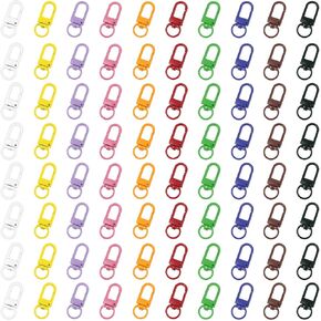 80 pcs class clasp class claw clasps for cloke -key -key -key -chain claw clip clains claw claw claass مع مشابك المجوهرات (ملونة)
