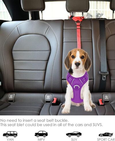 Dog Cat Safety Seather Belt Belt Carrest Headrest Headrest Restable Nylon Fabric قيود الكلاب على مسار أحزمة مقعد السيارة (الأزرق ، بدون بنجي-1PC المرن) in Kuwait