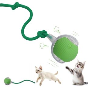 لعبة Toy Dog Dog Interactive Cat: لعبة أليفة تلقائية متداخلة للحيوانات الأليفة مع ضوء LED وذيل للتفعيل ، حاضر جرو هريرة ، تمرين مطاردة ، ترقية محاكاة الصيد (أخضر) in Kuwait