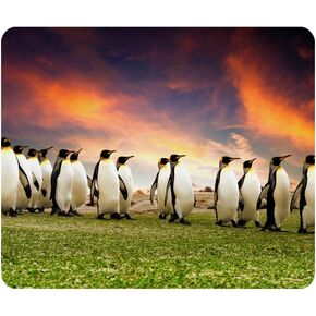 ألعاب Mouse Pad Penguins King في جزر فوكلاند جزر فالكلاند غير المنقولة من الطبقات من أجل أجهزة الكمبيوتر ، الكمبيوتر المحمول ، المكتب ، مستطيل منزلي مسيطر 9.5 بوصة × 7.9 بوصة