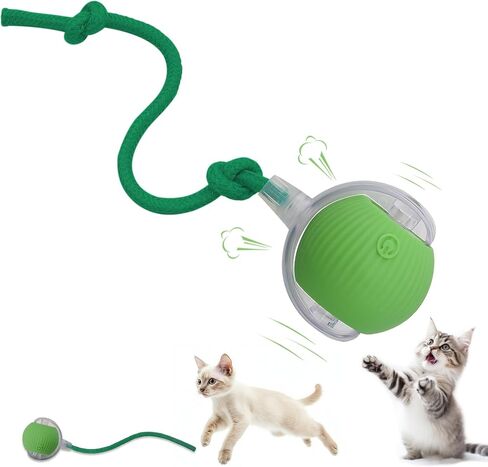 لعبة Toy Dog Dog Interactive Cat: لعبة أليفة تلقائية متداخلة للحيوانات الأليفة مع ضوء LED وذيل للتفعيل ، حاضر جرو هريرة ، تمرين مطاردة ، ترقية محاكاة الصيد (أخضر) in Kuwait