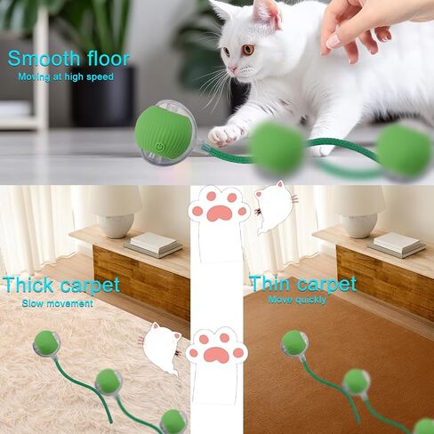 لعبة Toy Dog Dog Interactive Cat: لعبة أليفة تلقائية متداخلة للحيوانات الأليفة مع ضوء LED وذيل للتفعيل ، حاضر جرو هريرة ، تمرين مطاردة ، ترقية محاكاة الصيد (أخضر) in Kuwait