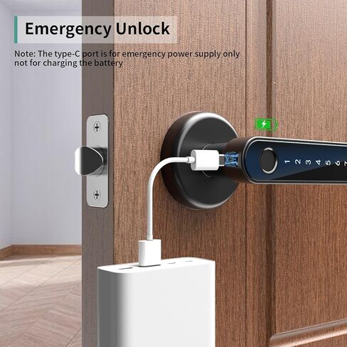 IRONZON Fingerprint Door Lock Biometric Door Lock with Keypad Keyless Entry Door Lock with Handle for Home Hotel Office Apartment Bedroom in Saudi Arabia