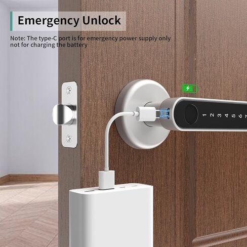 IRONZON Fingerprint Door Lock Biometric Door Lock with Keypad Keyless Entry Door Lock with Handle for Home Hotel Office Apartment Bedroom in Saudi Arabia