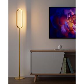 Oval LED Floor Lamp for Living Room, Integrated LED Corner Floor Lamp, Modern Standing Tall Lamp, 3000K Warm White Mininalist Gold Pole Lamp for Bedroom, Office, Reading
