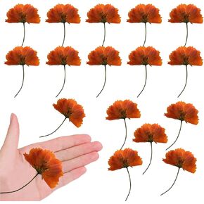 الزهور البرتقالية المجففة Cosmos-bipinnatus مع الجذعية للتزوير الحرفي ، 42 ٪ من الضغط الجانبي المضغوط للضغط الجانبي للرياحات المجوهرات DIY