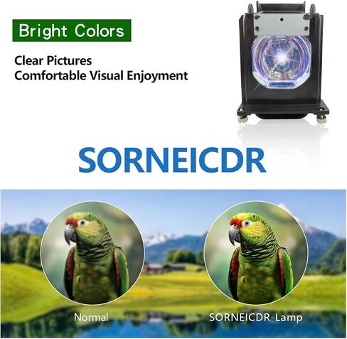 TS-CL110UAA Replacement Projector Lamp Bulb Compatible with JVC HD-52FA97 HD-52G456 HD-52G566 HD-52G576 HD-52G586 HD-52G587 HD-52G657 HD-52G786 52G787, with Housing in Saudi Arabia