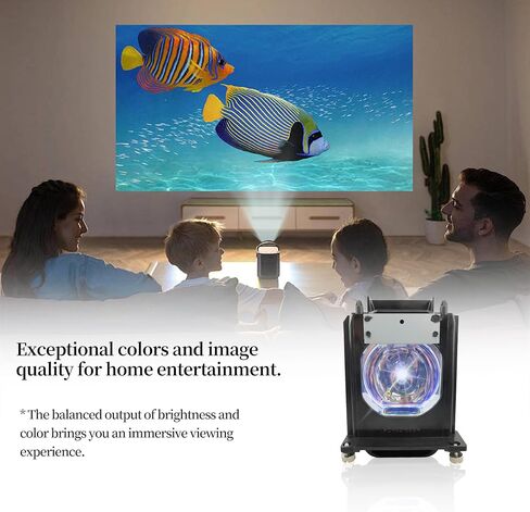 TS-CL110UAA Replacement Projector Lamp Bulb Compatible with JVC HD-52FA97 HD-52G456 HD-52G566 HD-52G576 HD-52G586 HD-52G587 HD-52G657 HD-52G786 52G787, with Housing in Saudi Arabia