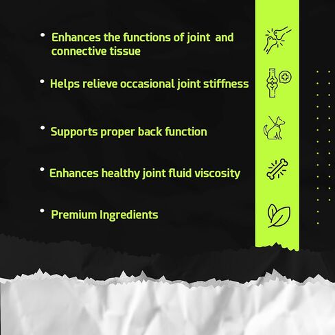 Pointpet Glucosamine للكلاب ، 120 عدد - زبدة الفول السوداني ومكمل نكهة اليقطين وملحق المفصل - مضغ الناعم الحركية مع chondroitin & msm مع أوميغا 3 in Saudi Arabia