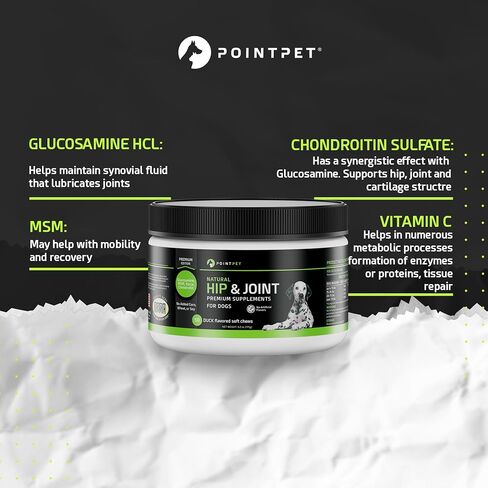 Pointpet Glucosamine للكلاب ، 120 عدد - زبدة الفول السوداني ومكمل نكهة اليقطين وملحق المفصل - مضغ الناعم الحركية مع chondroitin & msm مع أوميغا 3 in Saudi Arabia