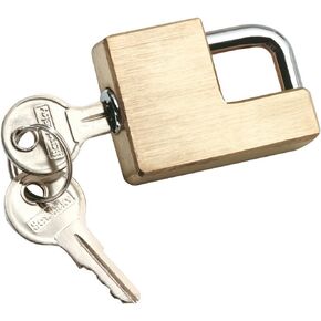 Reese Towpower 7005300 Brass Coupler Lock