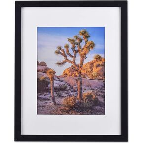Modern Black Picture Frame for Panoramic Photos - 12x36 Frame with Plexiglass and Versatile Display Options