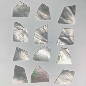 World of Shell Inlay Supplies 1 oz White Mother of Pearl Blanks .060" Thickness Perfect for Guitars, Banjos, Mandolins, Jewelry, Woodworkers, Luthiers, DIY, Professionals and Hobbyists