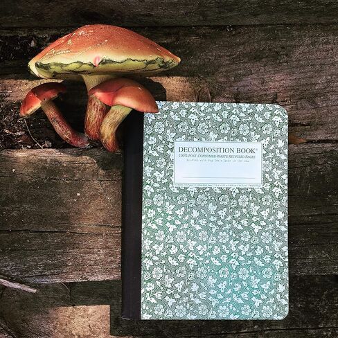 Decomposition Redwood Creek College Ruled Composition Notebook - 9.75 x 7.5 Journal with 160 Lined Pages - Notebooks for School Supplies, Home & Office - 100% Recycled Paper - Made in USA in Kuwait