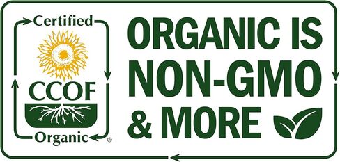 Dr Joe Lab Organic Camellia Seed Oil -Japanese, 100% Natural, Cold Pressed, Non-GMO Carrier - 1 oz Glass Bottle - for Skin, Hair, Nails, Body, Facial Hair - Hydrating Vegan in Saudi Arabia