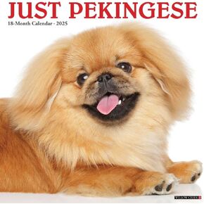 Willow Creek Press, Just Pekingese 2025 Wall Calendar