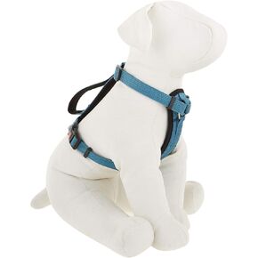 Kong Comfort Pated Chest Plate Harness Dognench التي توفرها Barker Brands Inc (متوسطة ، أزرق).