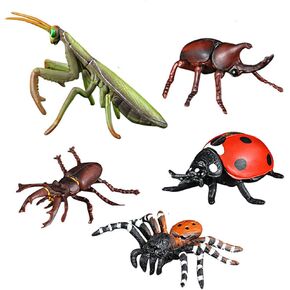Insect Bug Toy Figures, 5pcs Realistic Ladybug Spider Action Model for Toddler, Educational Learning Toys, Cake Topper, Birthday Gift for Kids
