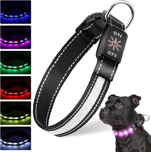 Light Up Dog Collar, USB-C Rechargeable and Waterproof Dog Glow Collar for Night Walking, Adjustable Soft Nylon Mesh Led Dog Collar 6 Lighting Colors (S, Adjustable 10.6in-15.7in) in Saudi Arabia