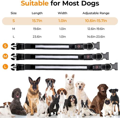 Light Up Dog Collar, USB-C Rechargeable and Waterproof Dog Glow Collar for Night Walking, Adjustable Soft Nylon Mesh Led Dog Collar 6 Lighting Colors (S, Adjustable 10.6in-15.7in) in Saudi Arabia
