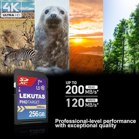 256GB CFexpress Type B Memory Card, R1800MB/s W1500MB/s CFX xqd Cards Type B for Cameras 8K RAW, Compatible with Nikon Z6/Z7/Z9/D6/D500, Canon EOS-1D X Mark III/EOS-R5, S1/S1R, DJI Ronin 4D in Saudi Arabia