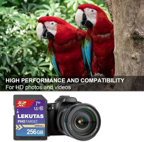 256GB CFexpress Type B Memory Card, R1800MB/s W1500MB/s CFX xqd Cards Type B for Cameras 8K RAW, Compatible with Nikon Z6/Z7/Z9/D6/D500, Canon EOS-1D X Mark III/EOS-R5, S1/S1R, DJI Ronin 4D in Saudi Arabia