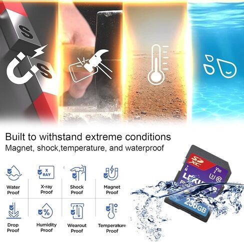 256GB CFexpress Type B Memory Card, R1800MB/s W1500MB/s CFX xqd Cards Type B for Cameras 8K RAW, Compatible with Nikon Z6/Z7/Z9/D6/D500, Canon EOS-1D X Mark III/EOS-R5, S1/S1R, DJI Ronin 4D in Saudi Arabia