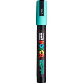POSCA Marker 5M في Aqua Green ، Posca Pens for Art Foolies ، اللوازم المدرسية ، فن الصخور ، طلاء النسيج ، علامات النسيج ، قلم الطلاء ، علامات الفن ، علامات Posca Paint