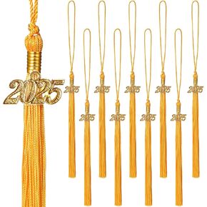10 Pack 2025 Graduation Tassels with Grad 2025 Charms Pendent for Class of 2025 Academic Graduate Parties Ceremonies (Black)