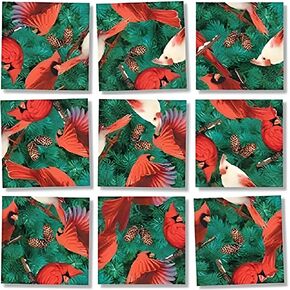 Scramble Squares Cardinals 9 Piece Challenging Puzzle - Ultimate Brain Teaser and Mind Game for Young and Senior Alike - Engaging and Creative With Beautiful Artwork - By B.Dazzle