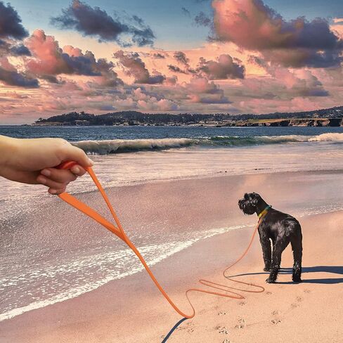 10ft Pale Pink Long Leash - Waterproof Training Dog Leash for Recall, Swimming, Camping, Beach, Hunting, Walking（3m*19mm*2.7mm） in Saudi Arabia