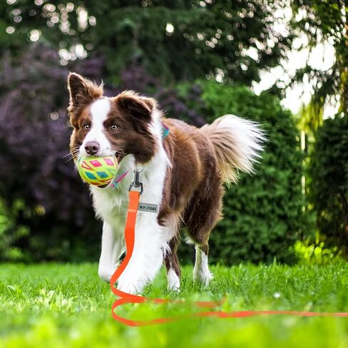 10ft Pale Pink Long Leash - Waterproof Training Dog Leash for Recall, Swimming, Camping, Beach, Hunting, Walking（3m*19mm*2.7mm） in Saudi Arabia