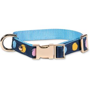 kate spade new york Cute Dog Collar with Gold Metal Details & Plastic Buckle, 10.5" to 13.5" Adjustable Dog Collar for Female or Male Dogs, Small to Medium Dogs (Watercolor Dot)