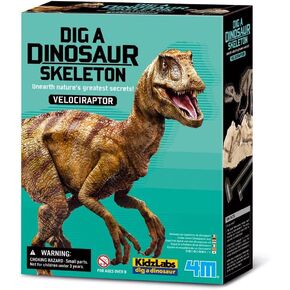 4M Kidz Labs حفر هيكل عظمي triceratops