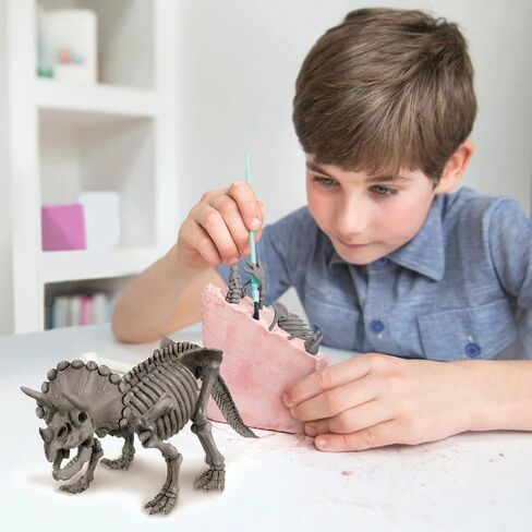 4M Kidz Labs Dig a Triceratops Skeleton in Saudi Arabia