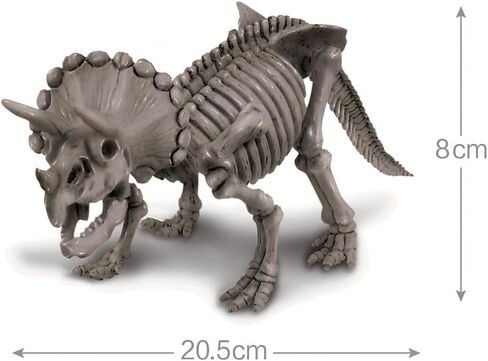 4M Kidz Labs Dig a Triceratops Skeleton in Saudi Arabia
