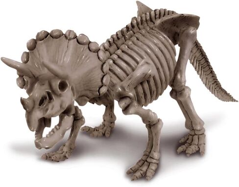 4M Kidz Labs Dig a Triceratops Skeleton in Saudi Arabia