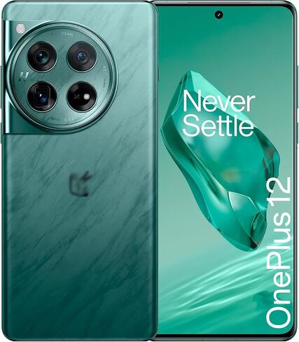 12 Back Glass Replacement for OnePlus 12 5G Back Glass Cover+Tools(Not Applicable oneplus12R 5G) (Black) in Saudi Arabia